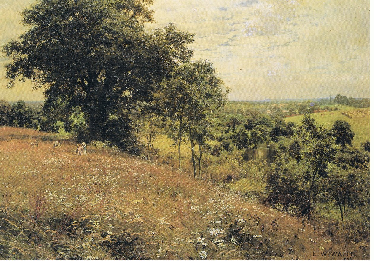Niityllä tekijältä Edward Wilkins Waite