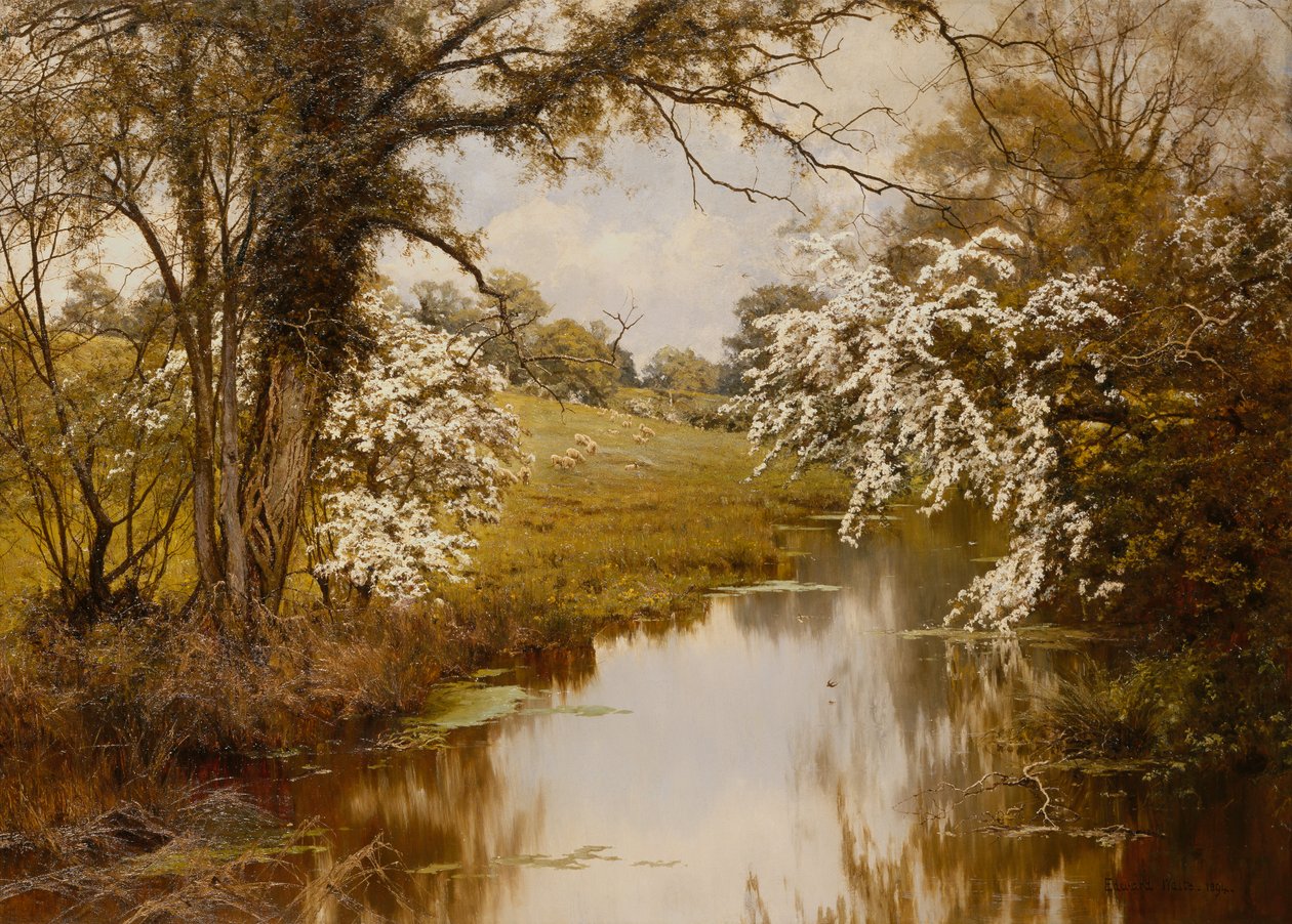 Missä Spreading Hawthorns Gaily Bloom (öljy kankaalle) tekijältä Edward Wilkins Waite