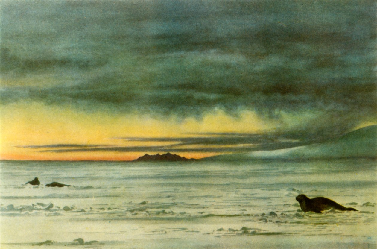 "Looking North in McMurdo Sound", 1911, 1946. tekijältä Edward Wilson