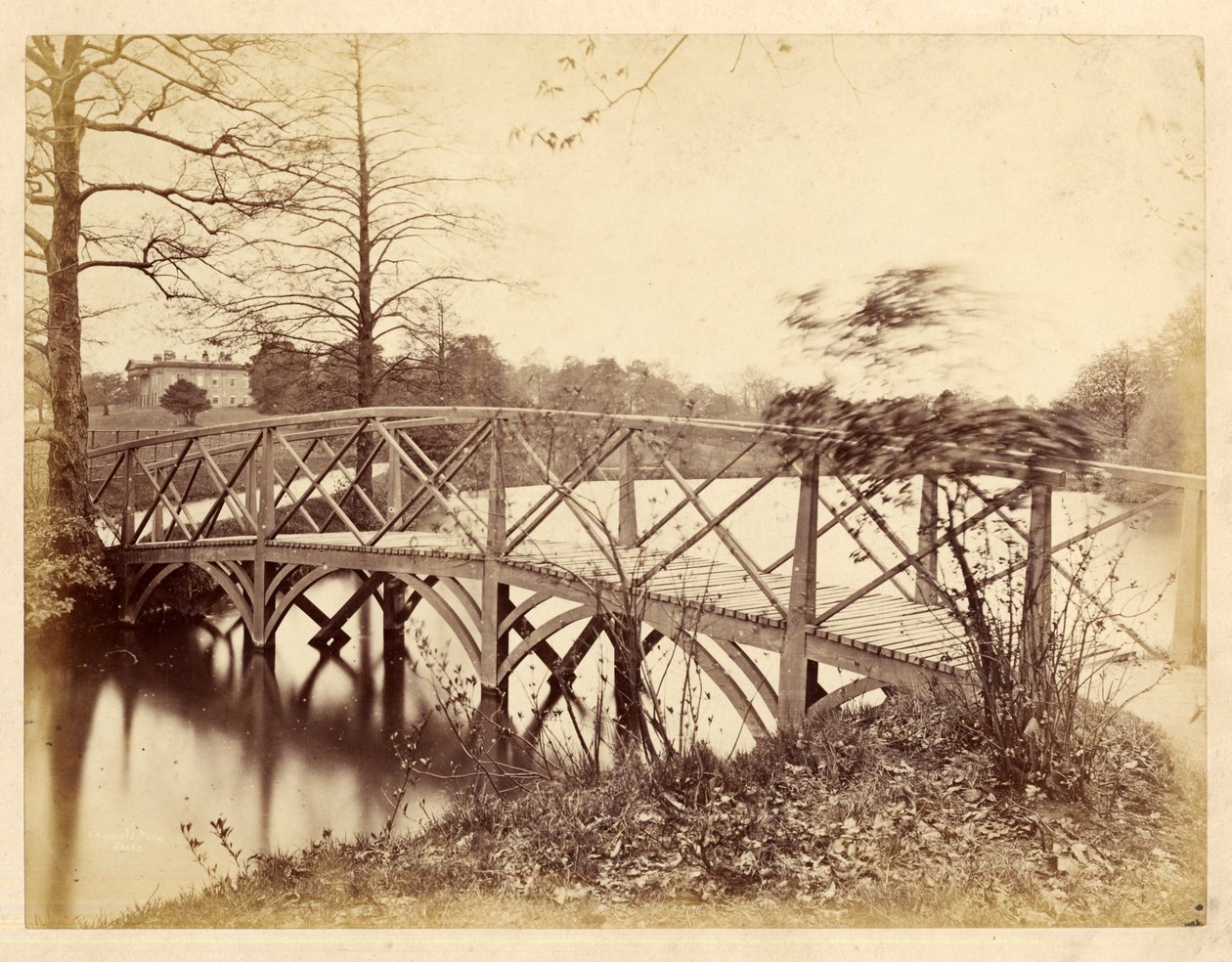 Roundhay Park (m/w kuva) tekijältä Edward Wormald