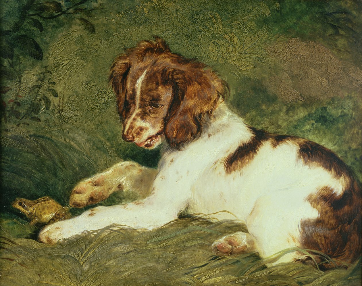 Pentu kiusaa sammakkoa, 1824 (paneeli) tekijältä Edwin Landseer
