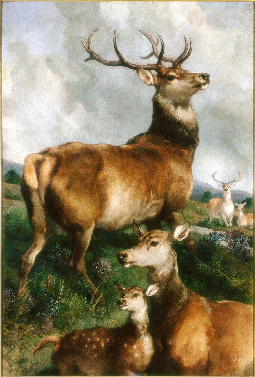 Deer of Chillingham Park, Northumberland, n. 1867 tekijältä Edwin Landseer