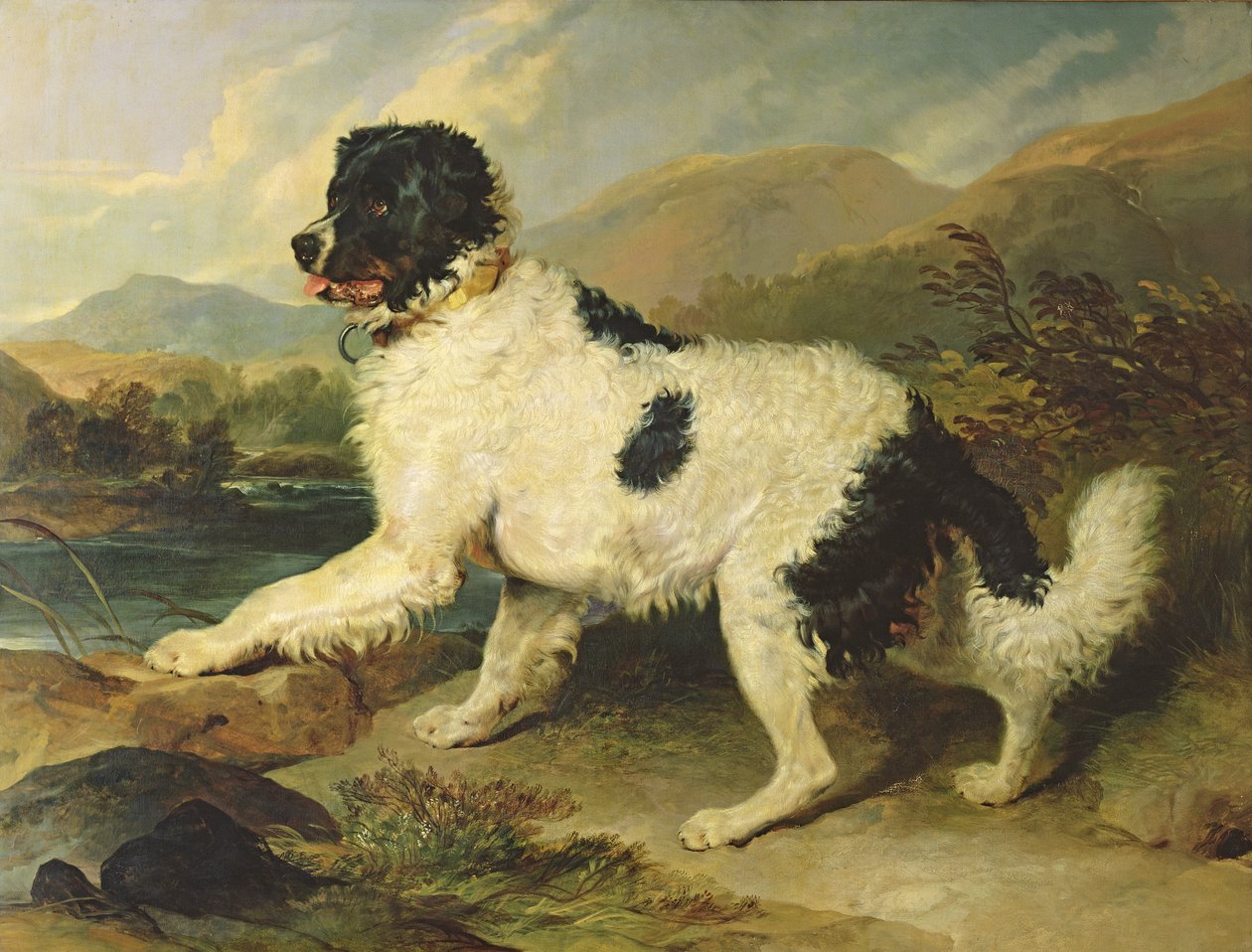 Newfoundlandin koira nimeltä Leijona, 1824 tekijältä Edwin Landseer