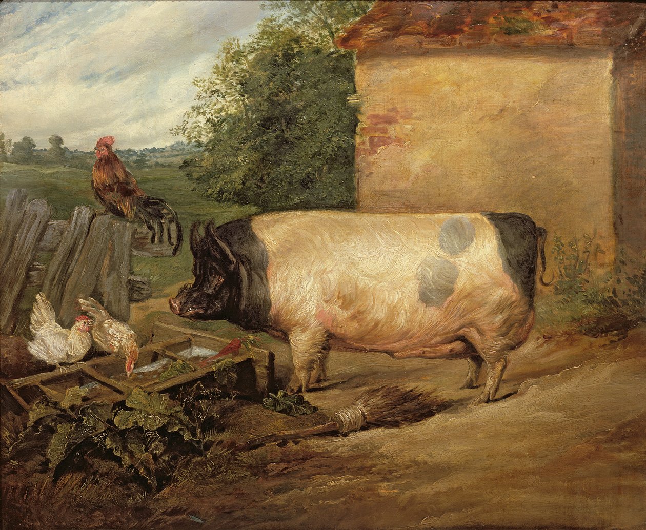 Palkitun sian muotokuva, Essexin Squire Westonin omaisuutta, 1810 tekijältä Edwin Landseer