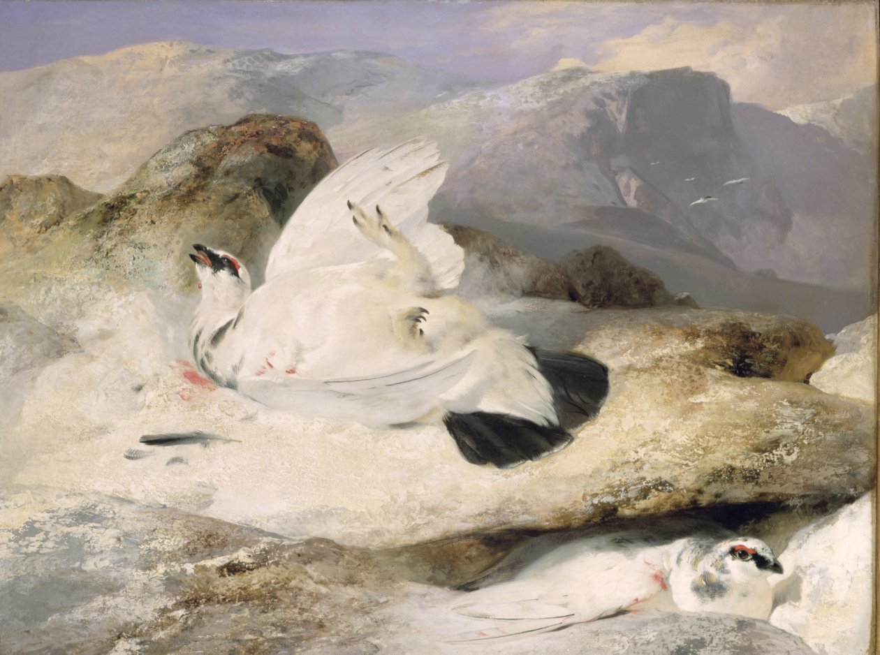 Ptarmigan tekijältä Edwin Landseer
