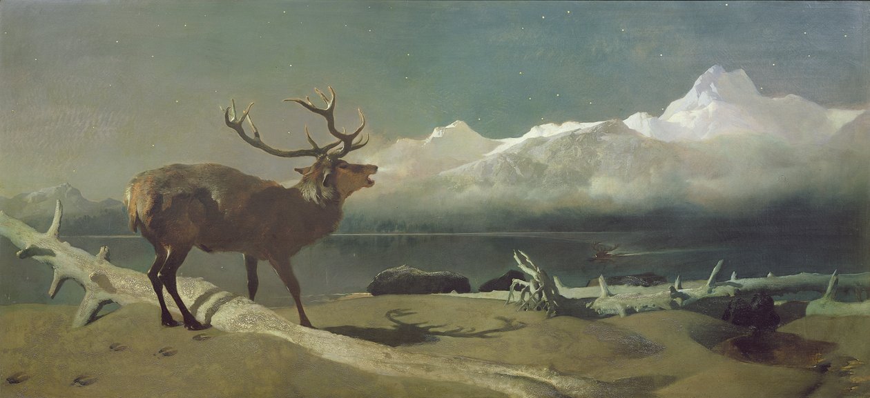 Haaste tekijältä Edwin Landseer