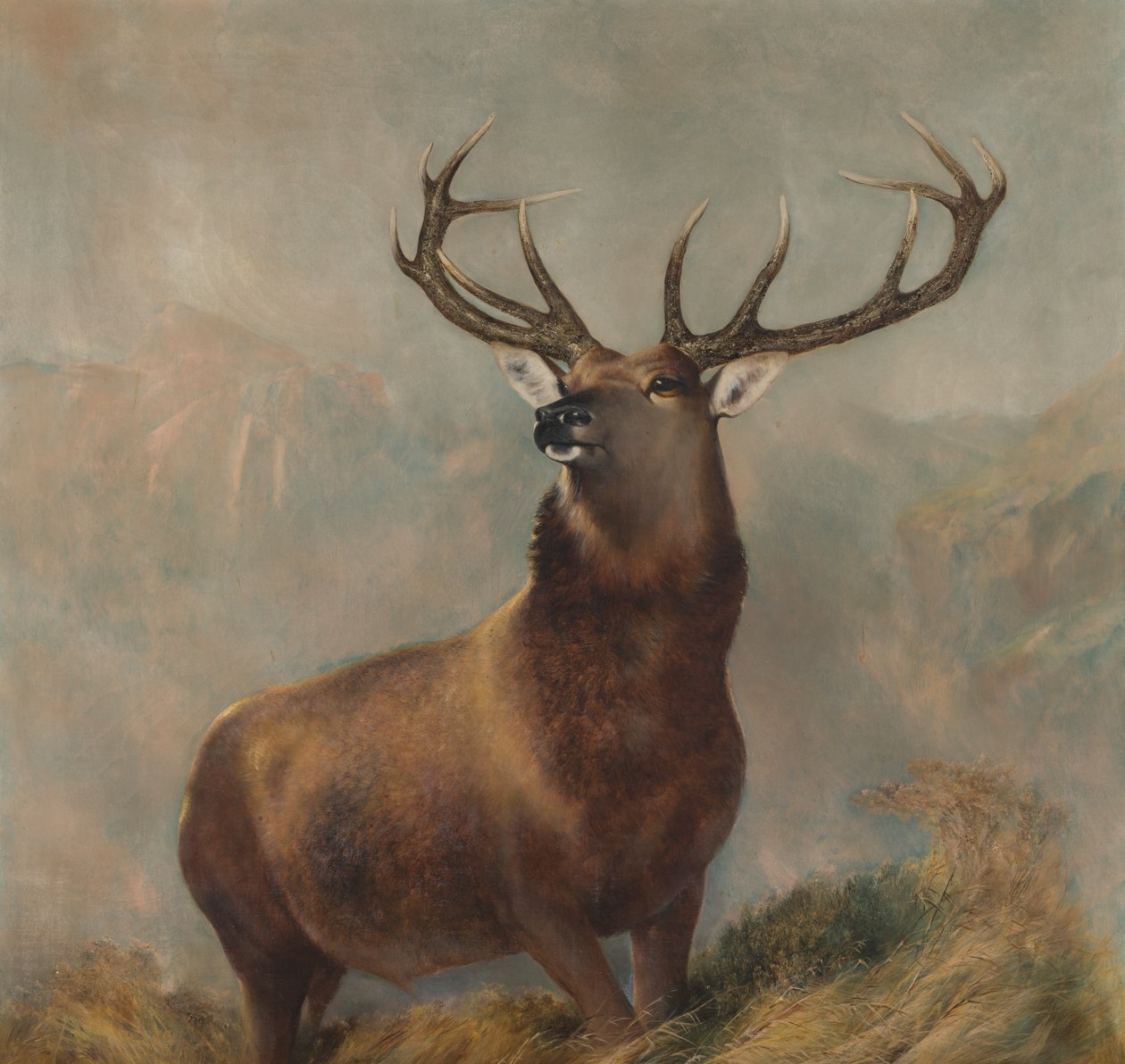 The Monarch of the Glen, n. 1822-1873 (öljy kankaalle) tekijältä Edwin (after) Landseer