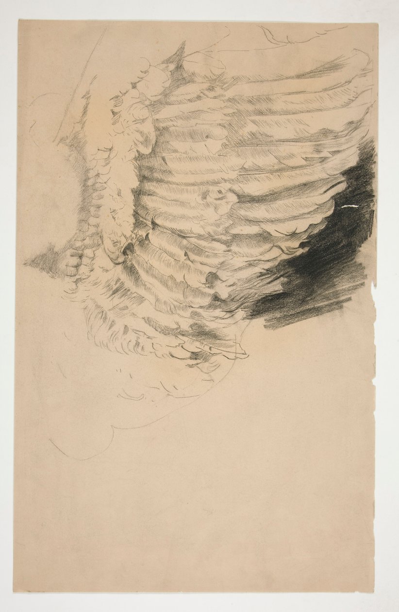 Tutkimus siiven, varten tekijältä Edwin Austin Abbey