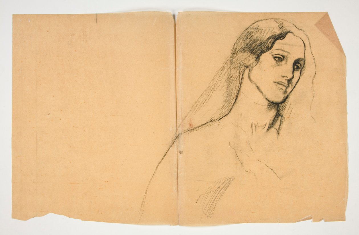 Tutkimus naisesta tekijältä Edwin Austin Abbey