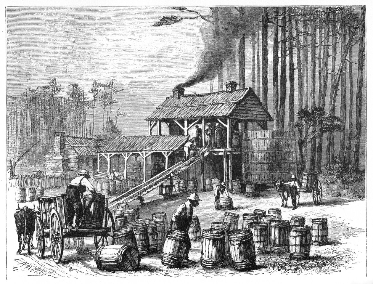 Terpentine Distillery, North Carolina, 1870. tekijältä Edwin Austin Abbey