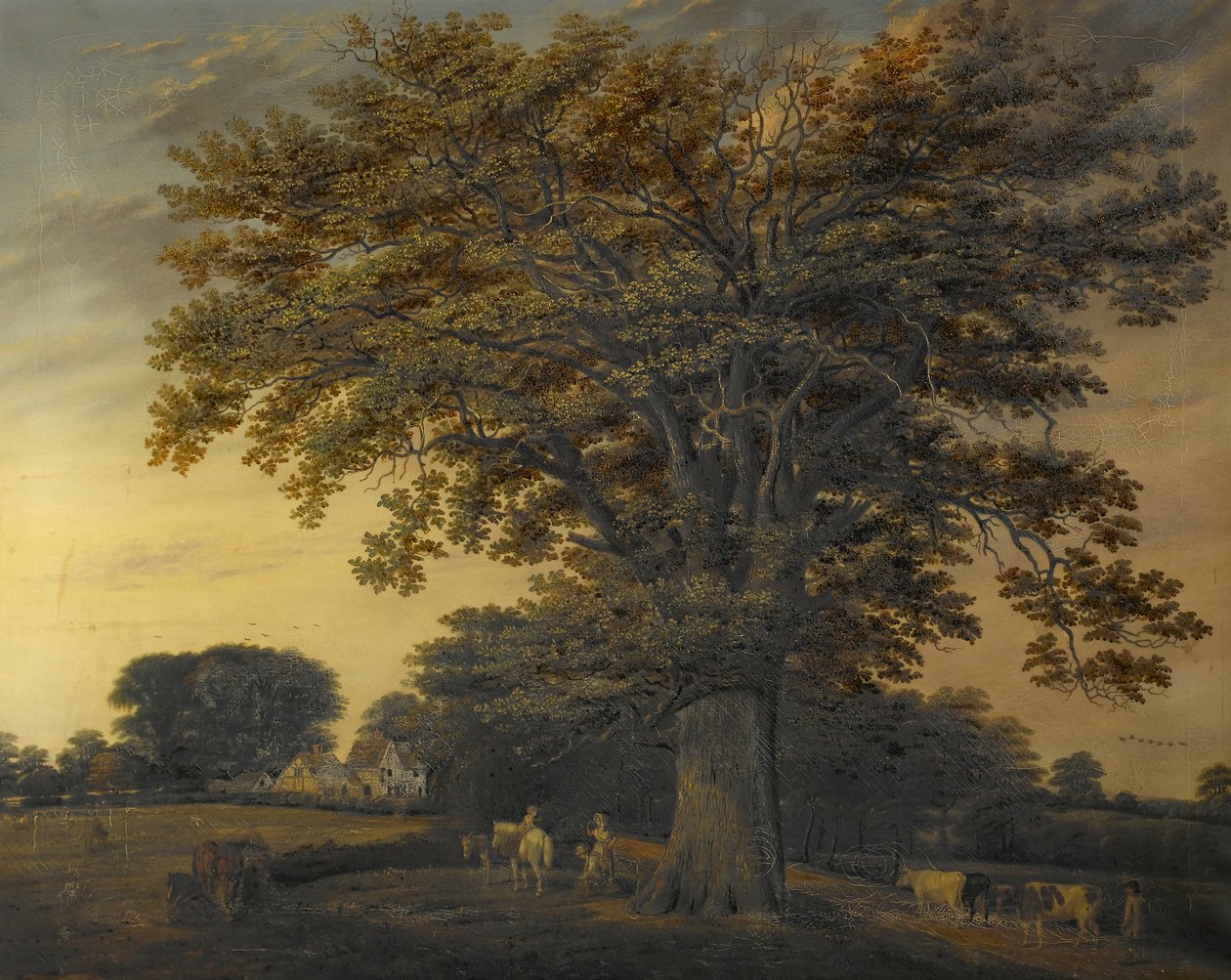 Binley Oak, 1848 tekijältä Edwin Brown