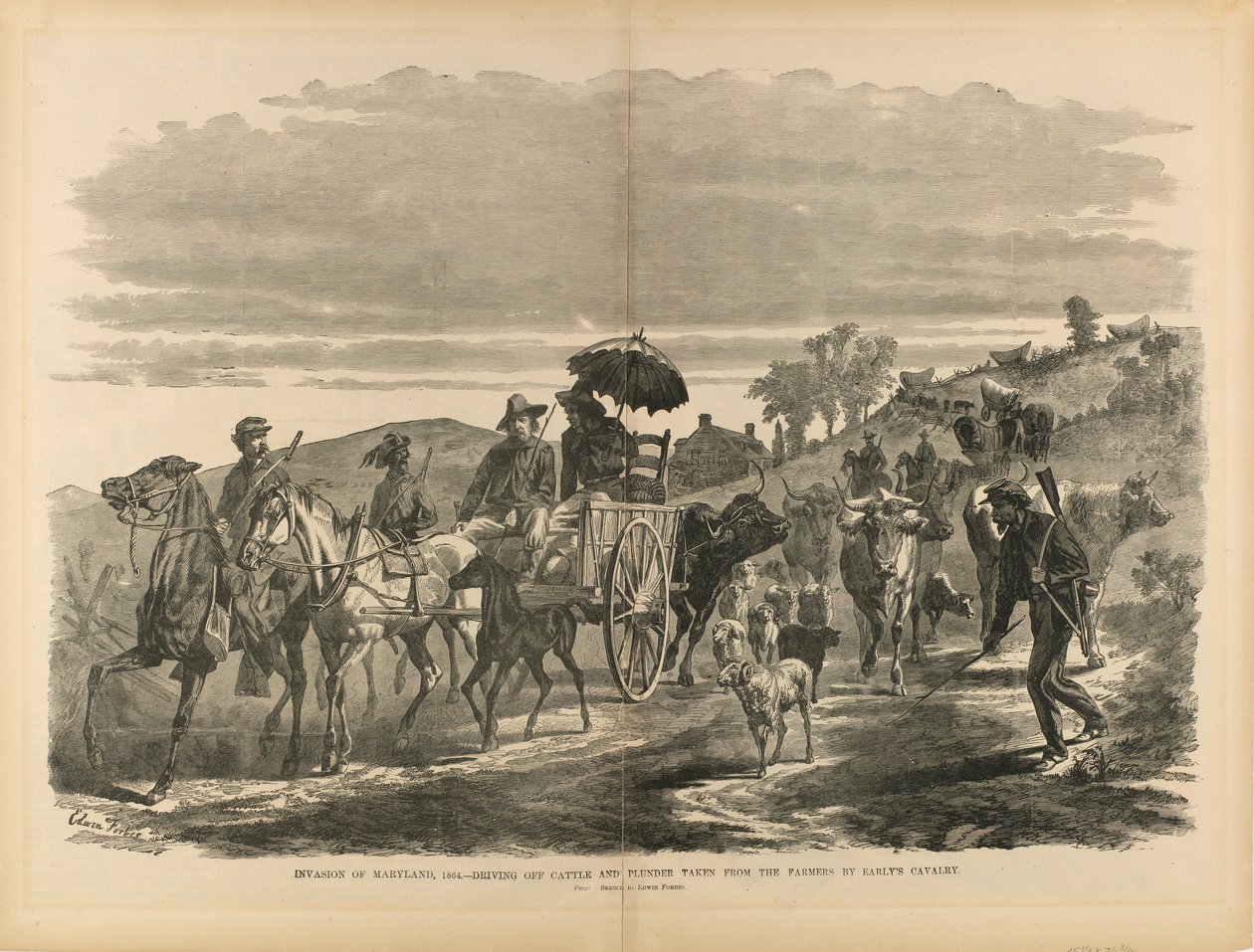 Marylandin maihinnousu 1864 - Earlyn ratsuväen maanviljelijöiltä ottaman karjan ja ryöstösaaliin karkottaminen, kirjasta "Sotilas sisällissodassamme". tekijältä Edwin Forbes