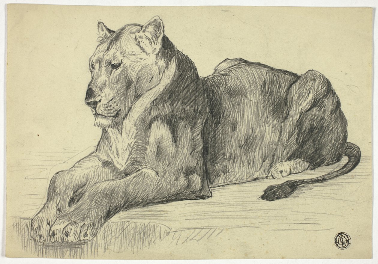 Naarasleijona tekijältä Edwin Henry Landseer