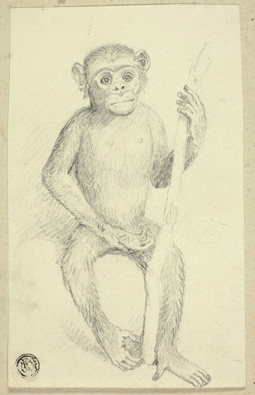 Orangutan tekijältä Edwin Henry Landseer