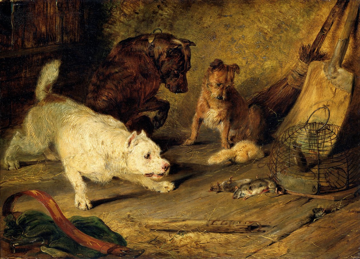 "Ratcatchers", 1821 tekijältä Edwin Henry Landseer