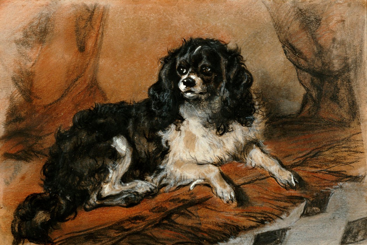 King Charles Spanieli tekijältä Edwin Landseer