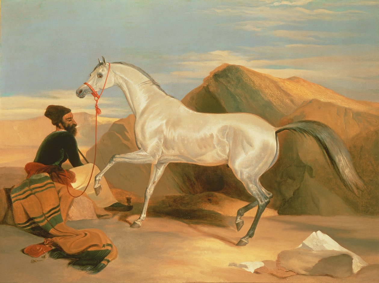 Arabi Ori tekijältä Edwin Landseer
