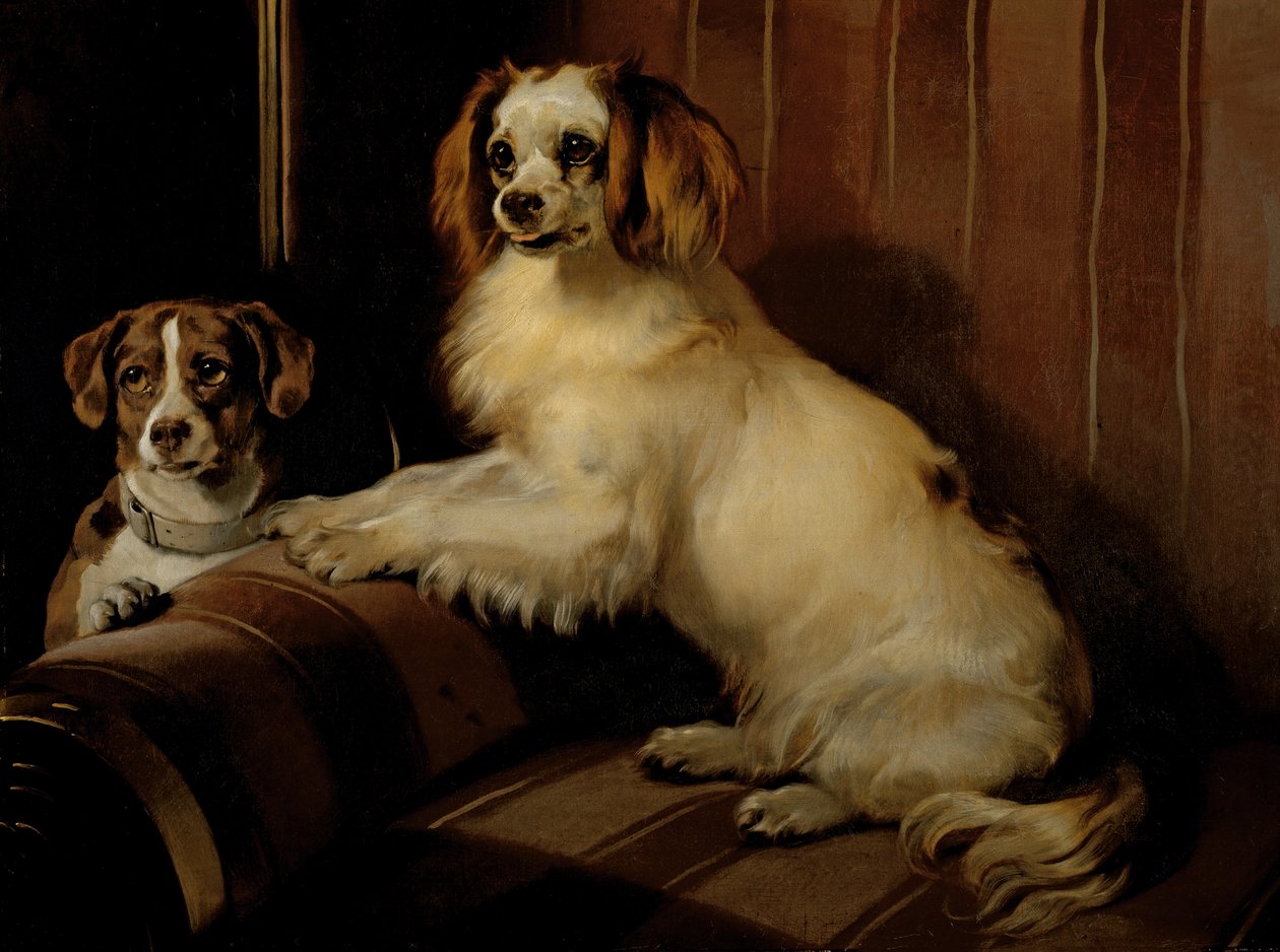 Bon(e)y ja Var, n. 1843 (öljy kankaalle) tekijältä Edwin Landseer
