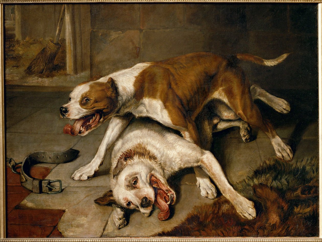 Chiens se battant, reprenant leur souffle - taistelukoirat hengähdystauolla ... tekijältä Edwin Landseer