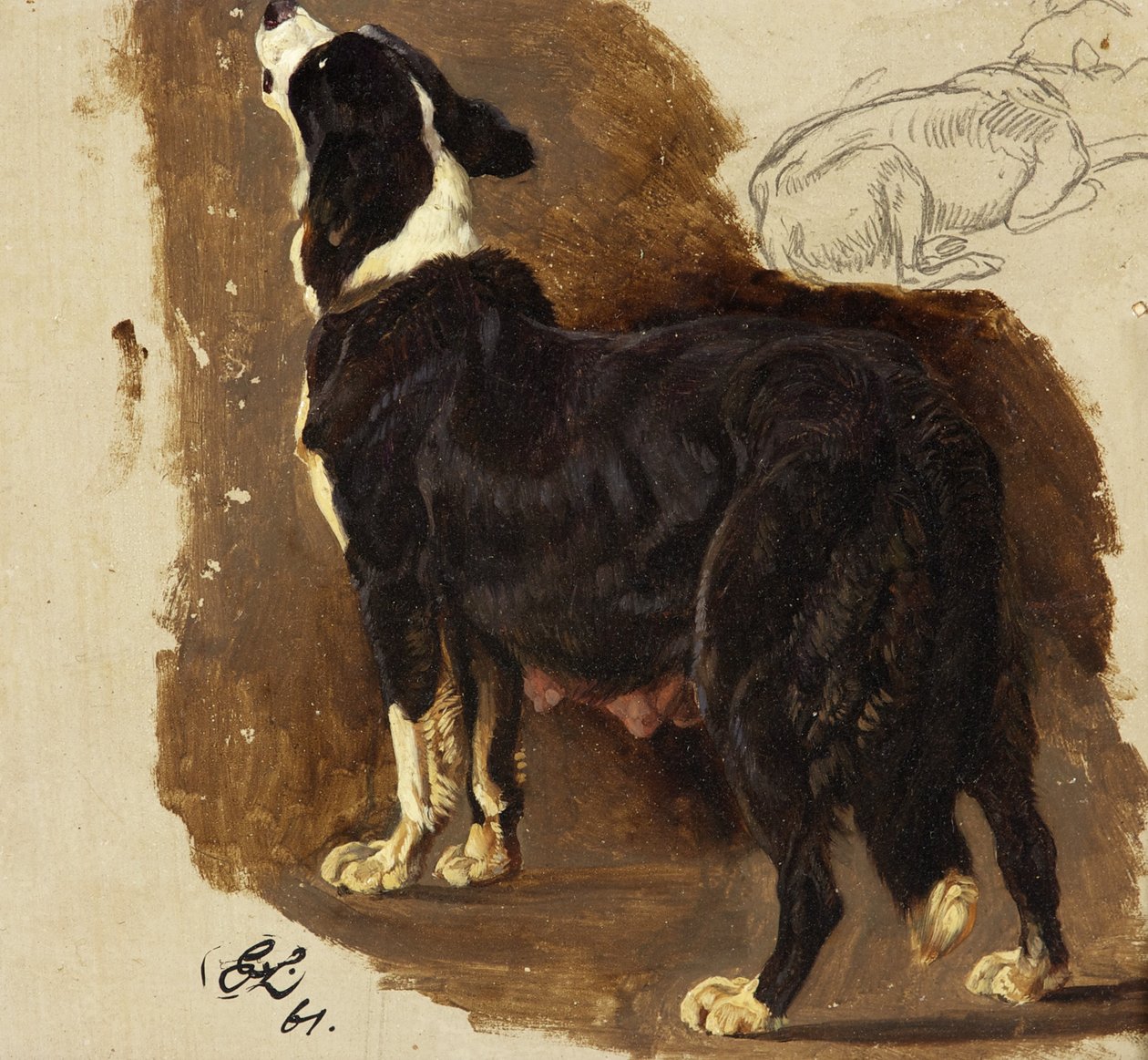 Collie Bitch (öljy & kynä kortilla) tekijältä Edwin Landseer