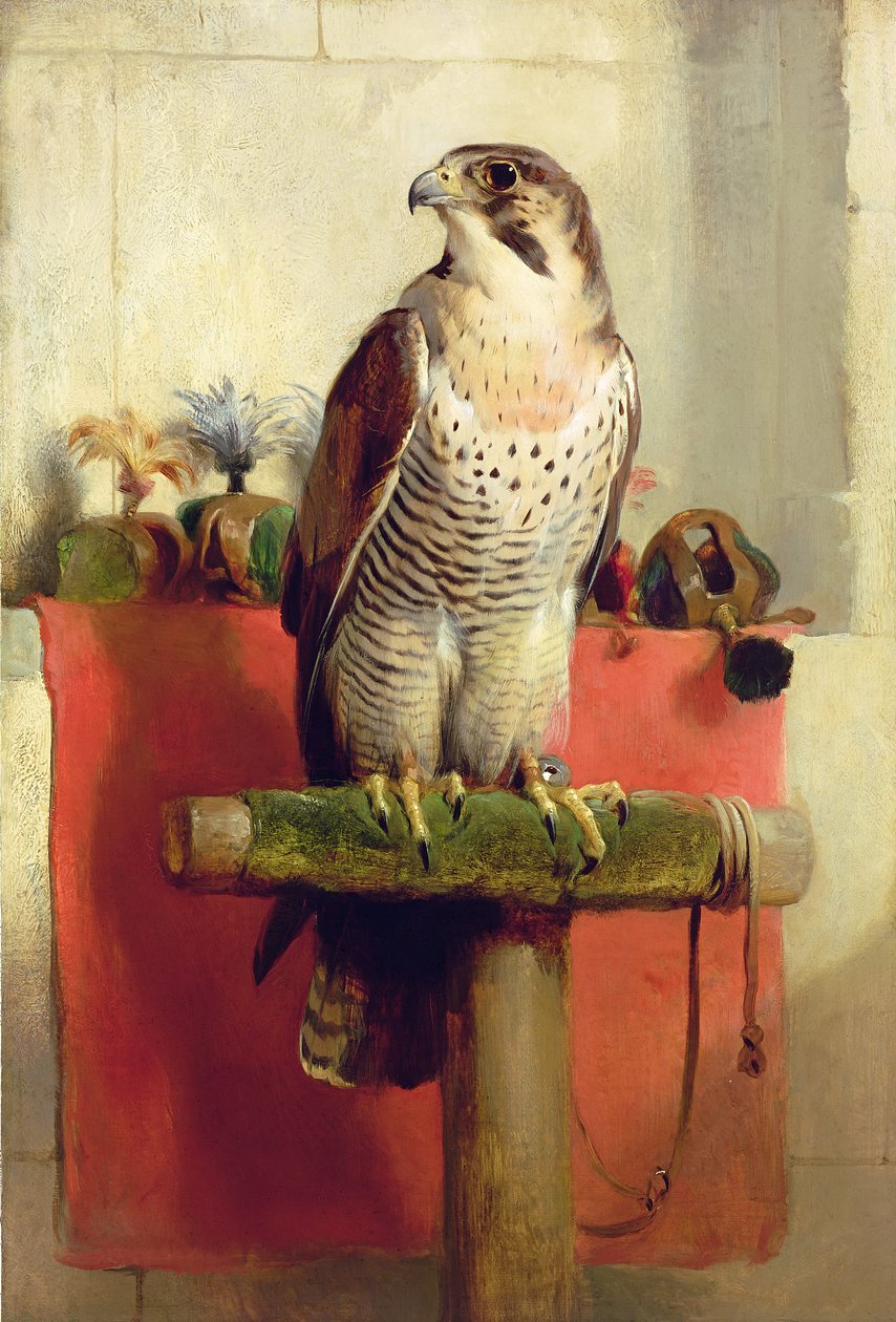Falcon, 1837 tekijältä Edwin Landseer