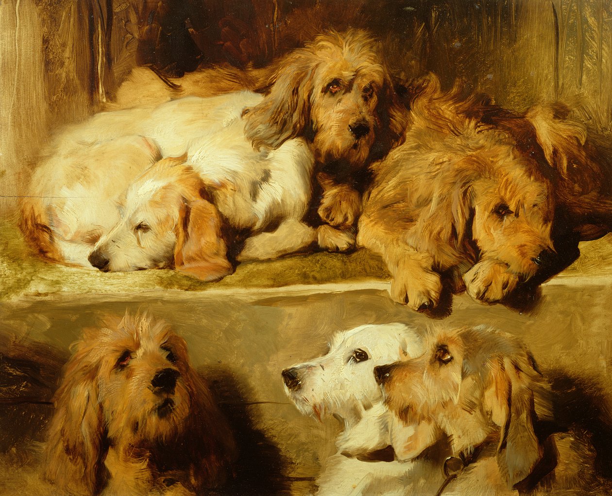Koirat kennelissä tekijältä Edwin Landseer