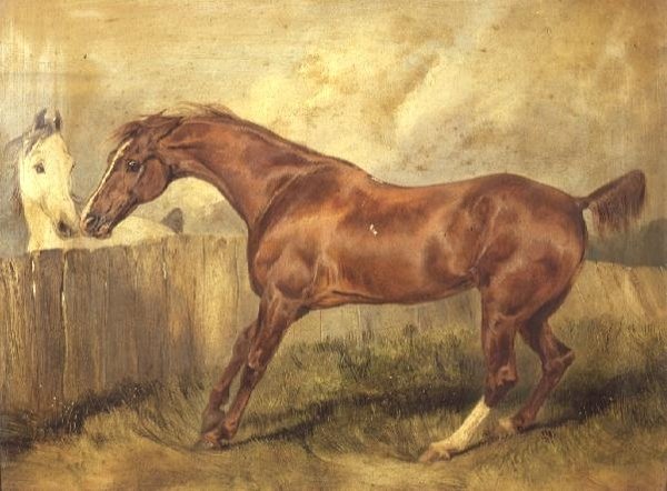 Marianne, suosikkimetsästäjä tekijältä Edwin Landseer