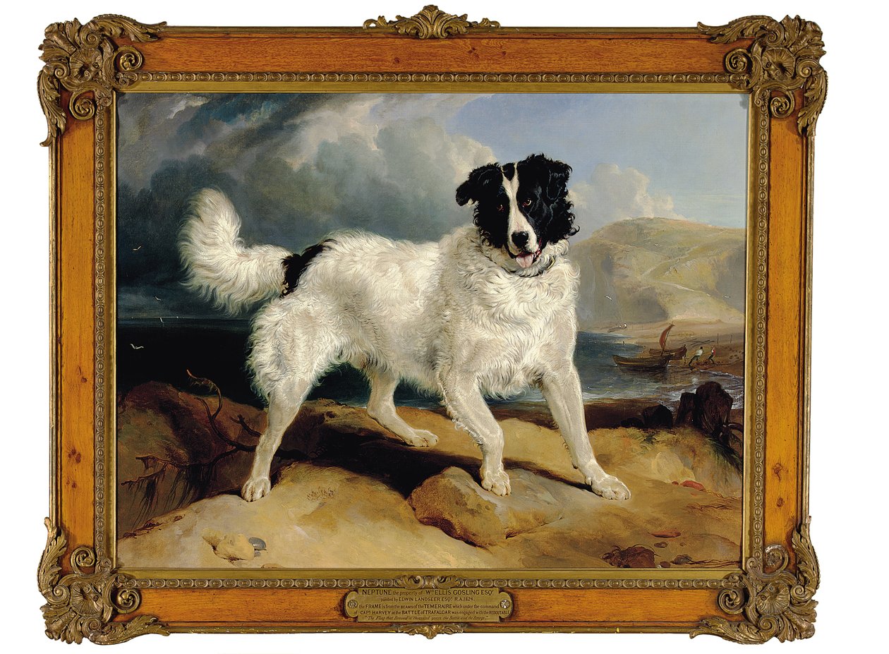 Neptunus, William Ellis Goslingin omaisuus, Esq., 1824 tekijältä Edwin Landseer