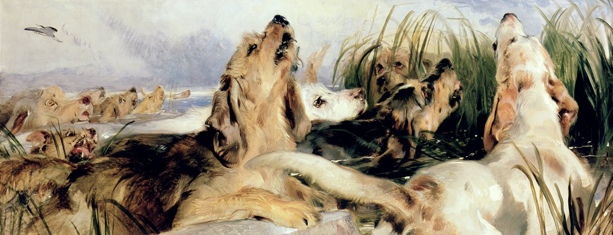 Saukokoirat tekijältä Edwin Landseer