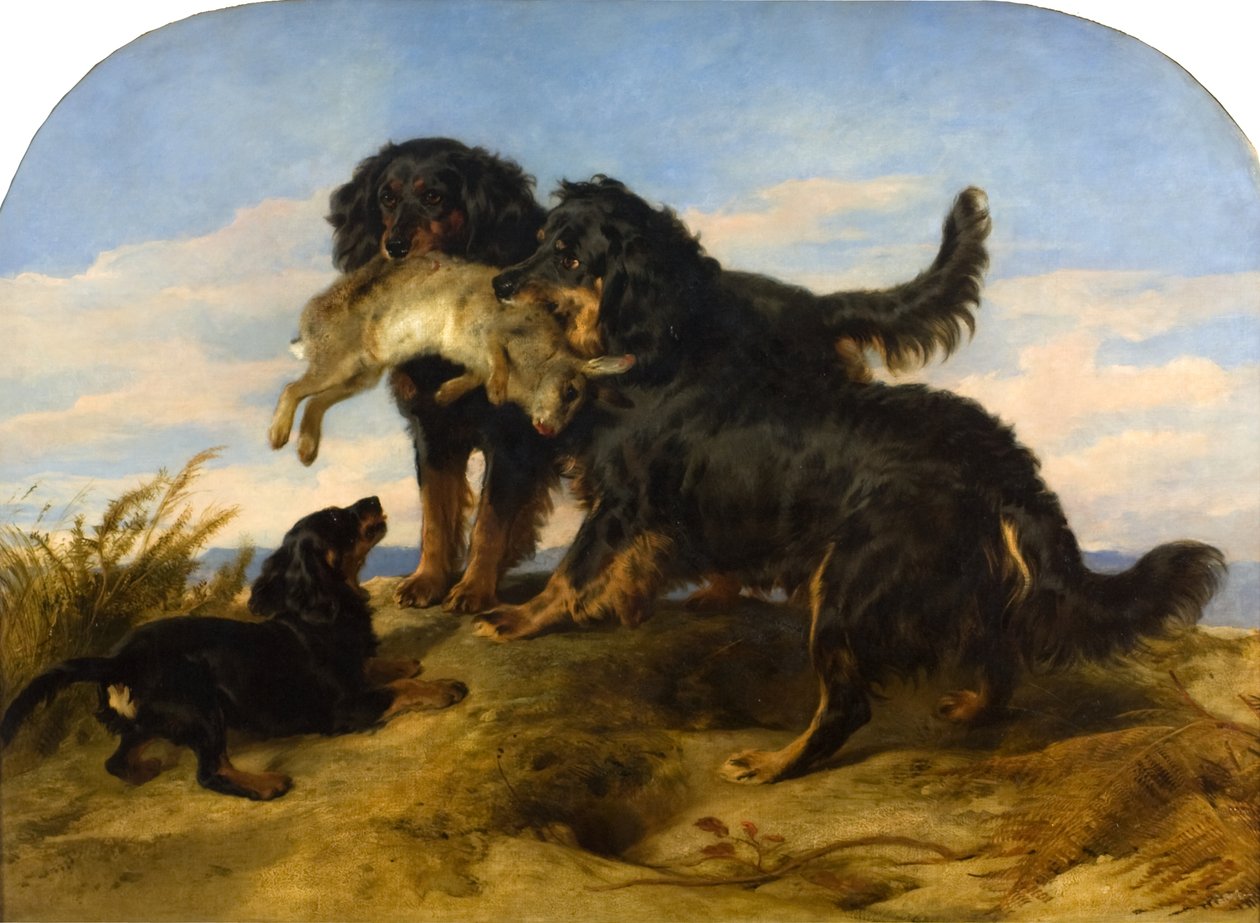 Retrievers with a Hare, n. 1870 (öljy kankaalle) tekijältä Edwin Landseer