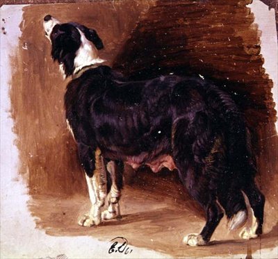 Luonnos colliesta tekijältä Edwin Landseer