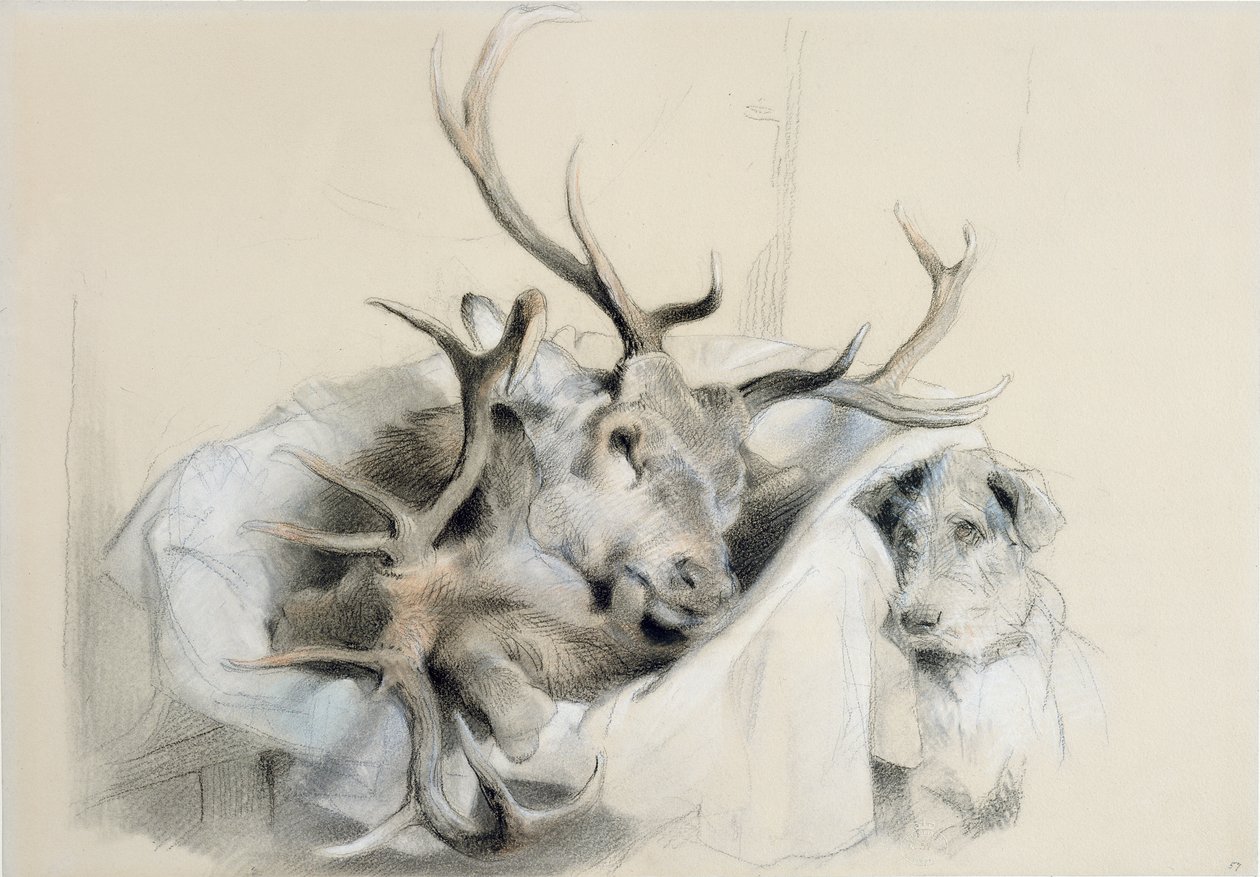 Hirvenpäitä ja koira, 1857 tekijältä Edwin Landseer