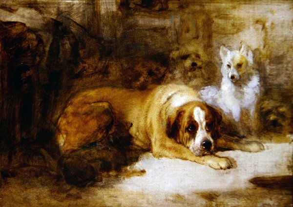 Tutkimus koirista (öljy kynällä kankaalle) tekijältä Edwin Landseer