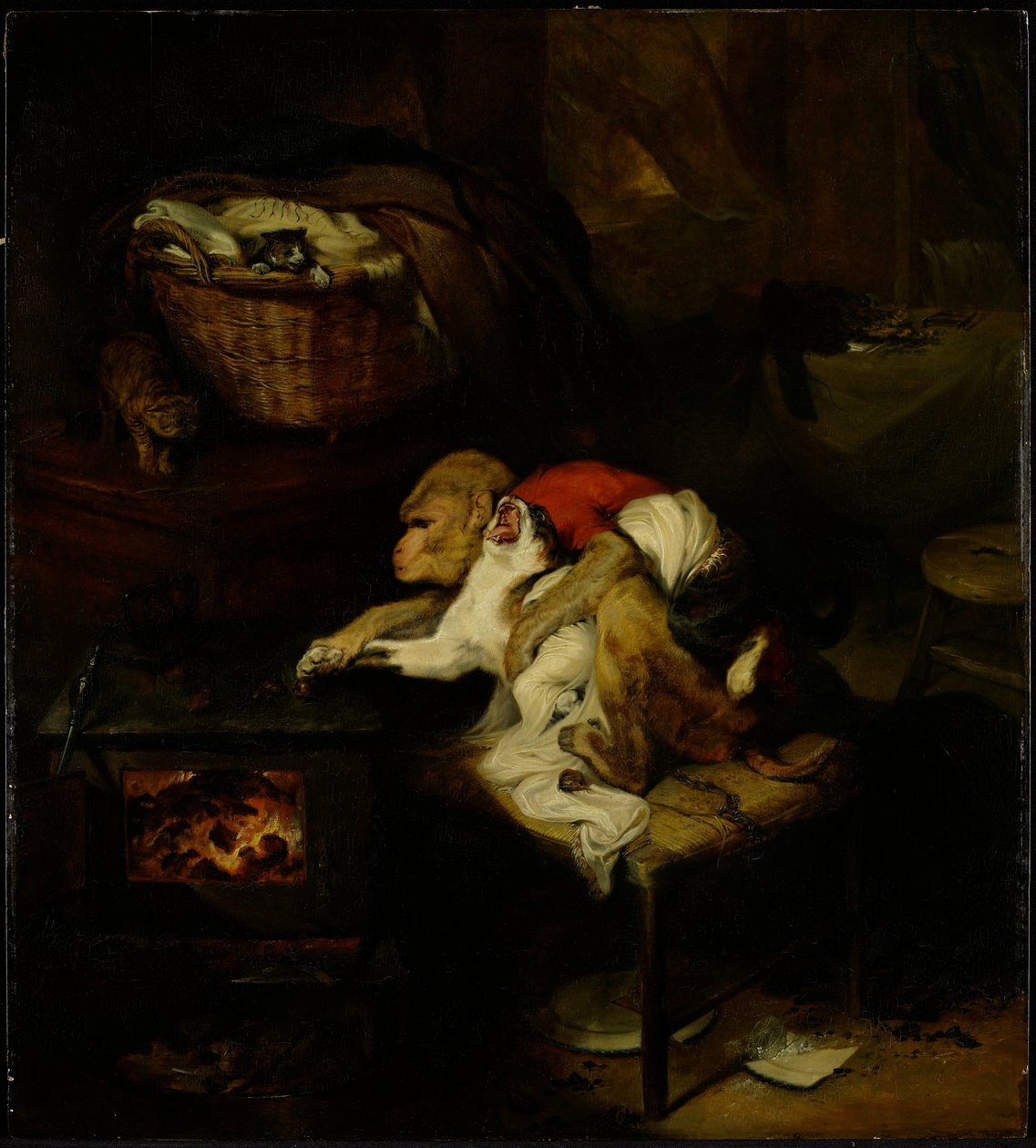 Kissan tassu, n. 1824 (katso tutkimusta numerosta 488149) tekijältä Edwin Landseer