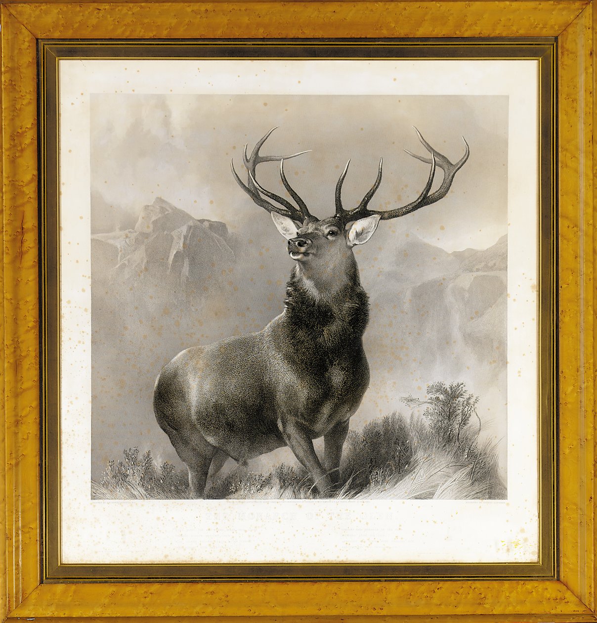 Glenin hallitsija, 1852 tekijältä Edwin Landseer
