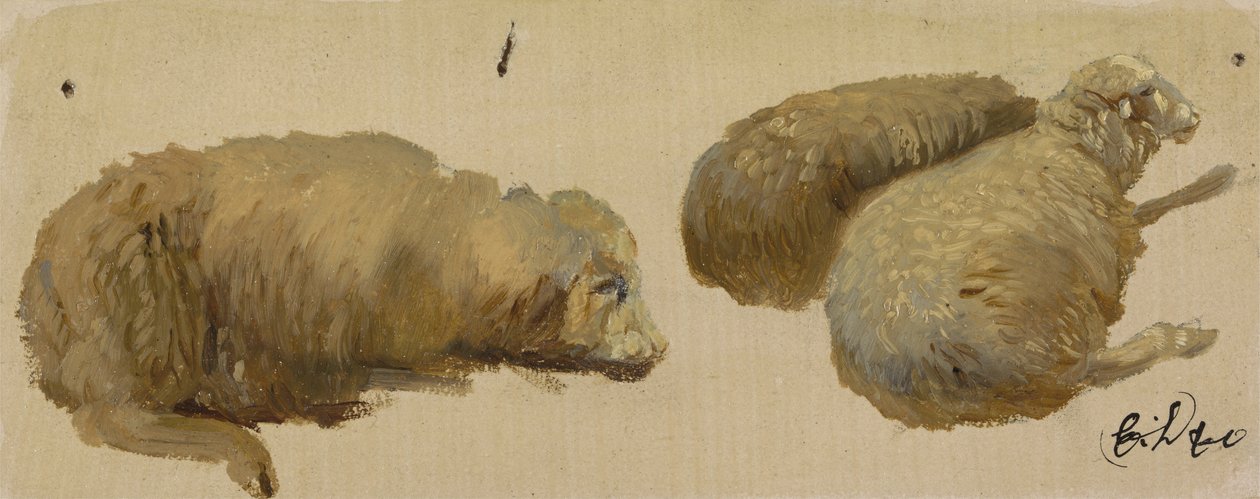 Kolme lammasta levossa (öljy paperille) tekijältä Edwin Landseer