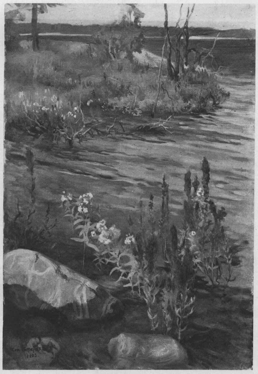 Blumen am Wasser. Beschreibung lt. Quellen tekijältä Eero Järnefelt