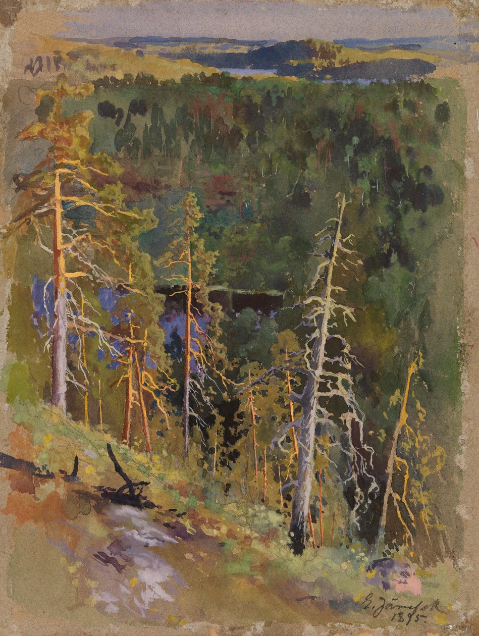 Metsämaisema tekijältä Eero Järnefelt