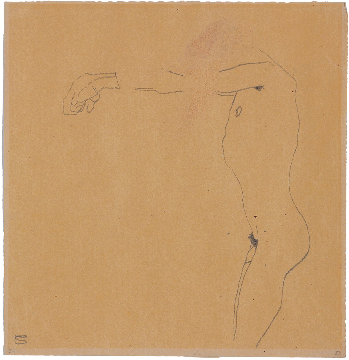Miesten alastonkuva kädet vasemmalle, 1909 tekijältä Egon Schiele