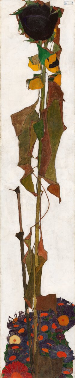 Auringonkukka, 1909-1910. tekijältä Egon Schiele