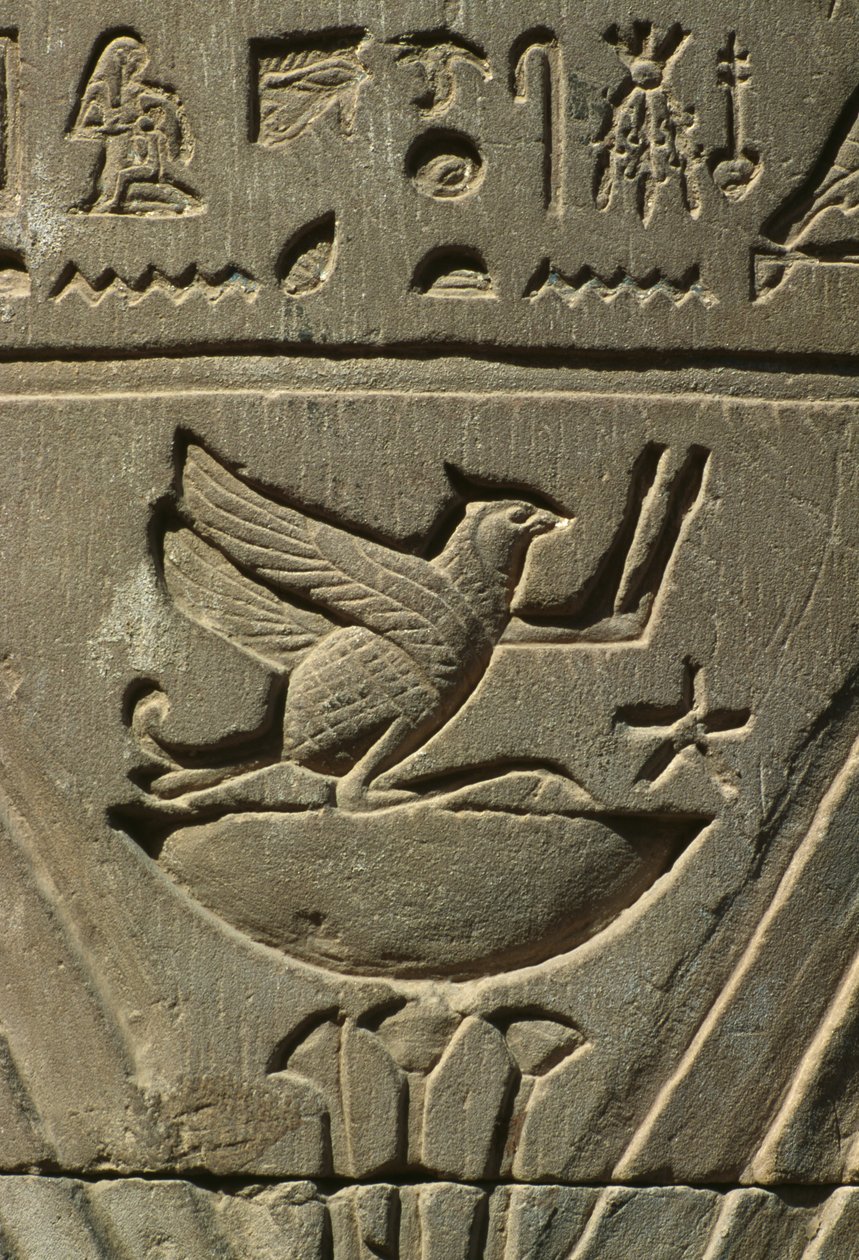 Yksityiskohta reliefistä, hieroglyfit kalkkikivestä tekijältä Egyptian