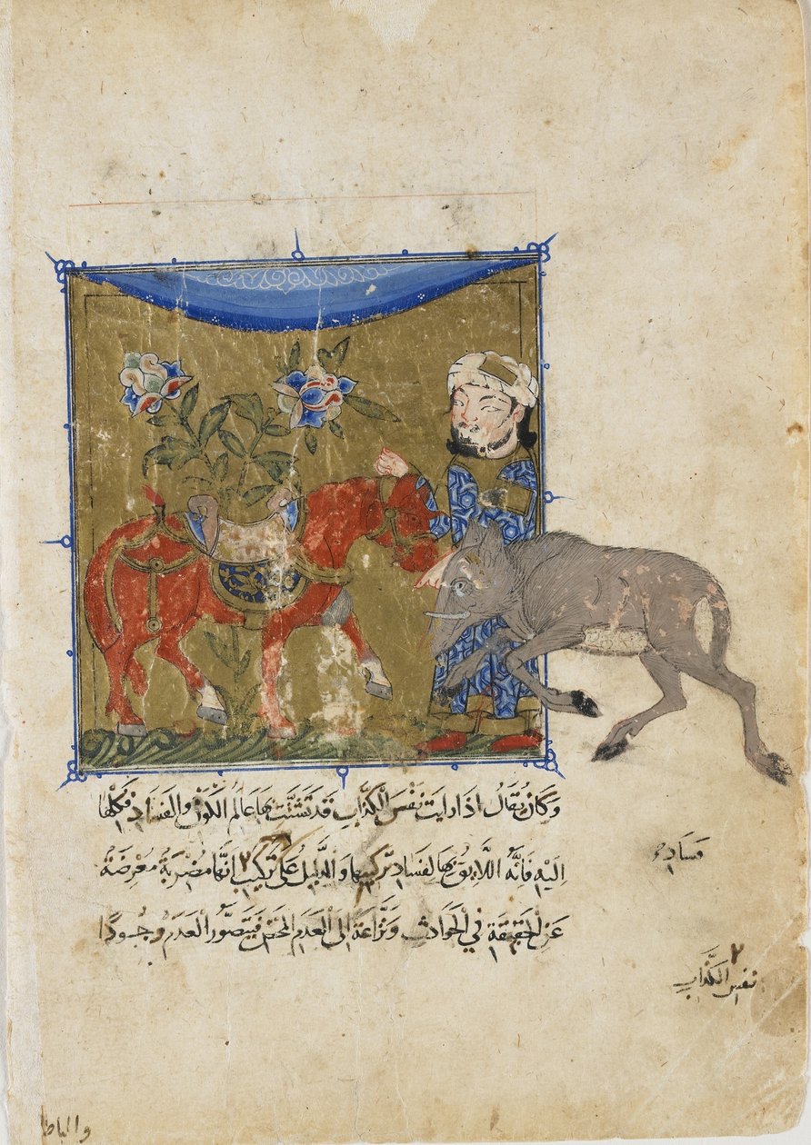 Karju ja hevonen, folio Sulwan al-Mutasta, Ibn Zafar, Mamluk-dynastia, n. 1335 (läpinäkymätön akvarelli, mustetta ja kultaa paperilla) tekijältä Egyptian