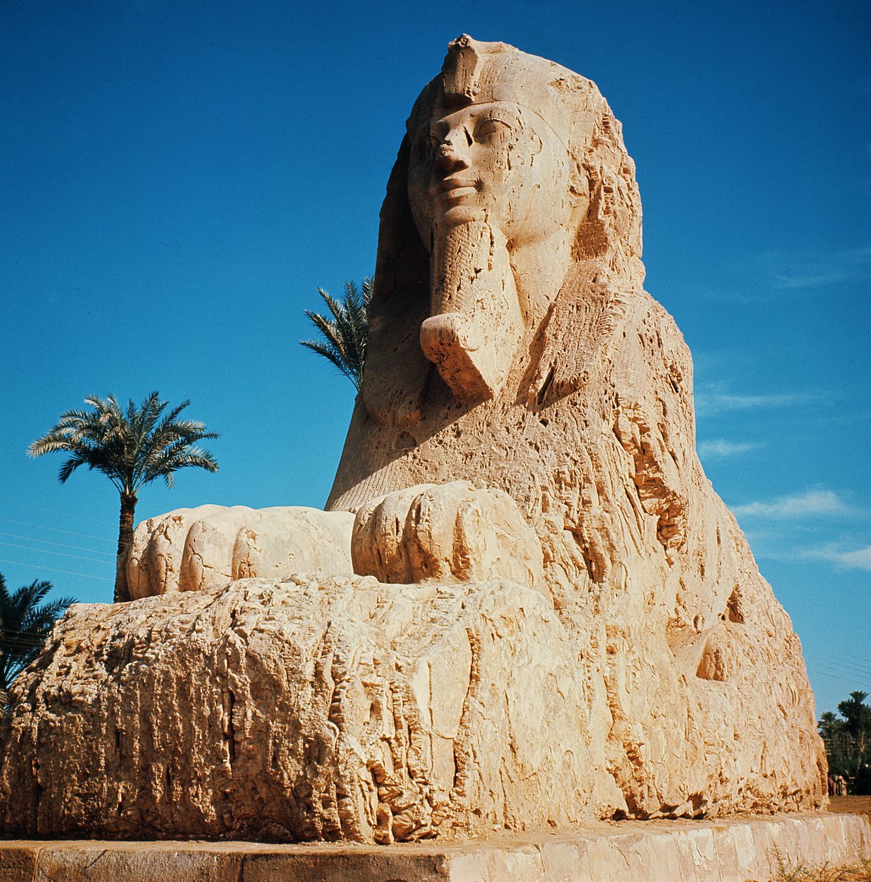 Alabasterisfinksi, Uusi kuningaskunta, luultavasti Amenhotep II:n hallituskaudelta, noin 1450-1425 eKr. (katso myös 59240) tekijältä Egyptian 18th Dynasty