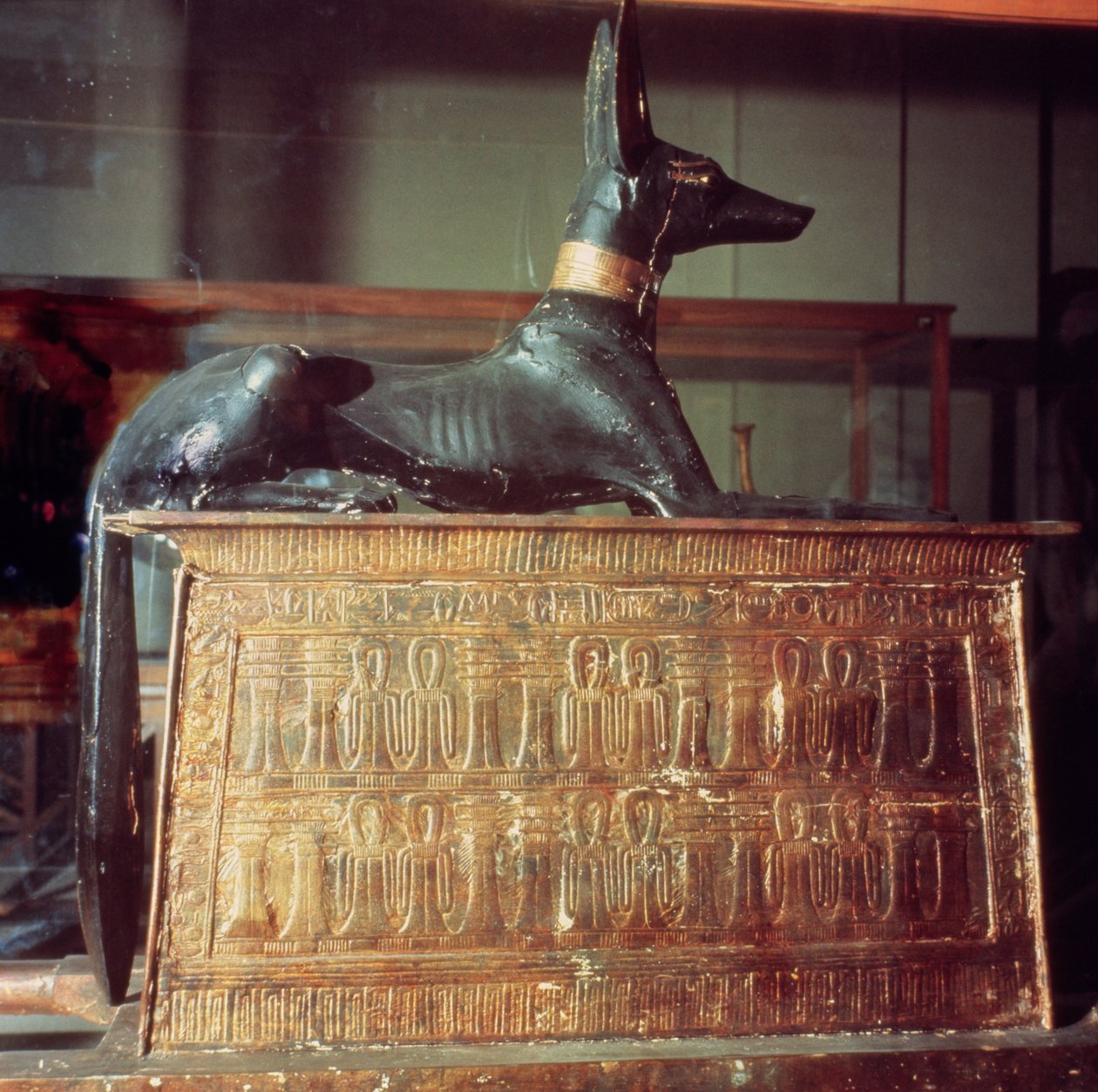 Anubis, egyptiläinen kuolleiden jumala, joka istuu pyhäkön muodossa olevan arkun päällä, Tutankhamonin haudasta (n. 1370-52 eKr.) Uusi kuningaskunta (puu) (katso myös 149424) tekijältä Egyptian 18th Dynasty