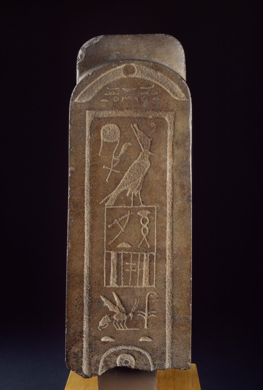 Amunin kvartsiittipää, johon on kaiverrettu takapilarin Horuksen nimi Tanewatamani kaiverrettu tummanruskea kvartsiitti tekijältä Egyptian 25th Dynasty