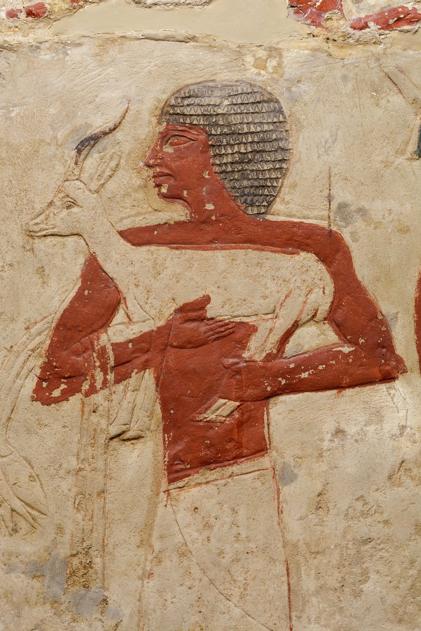 Mastaba Pernebin hauta, n. 2381–2323 eKr. (kalkkikivi ja maali) tekijältä Egyptian 5th Dynasty