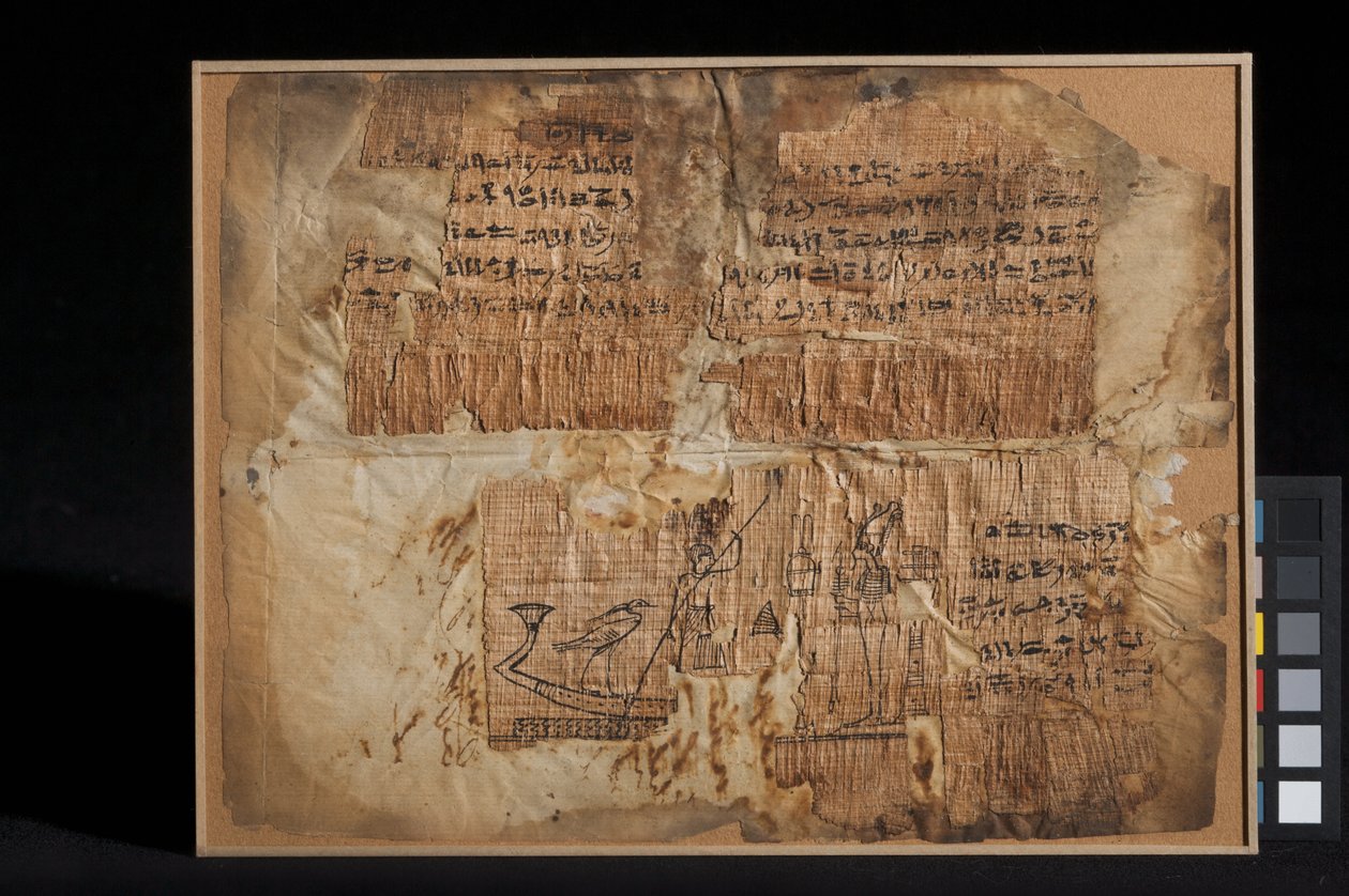 Papyrusfragmentti, luku 100, Kuolleiden kirjasta (papyrus) tekijältä Egyptian Ptolemaic Period