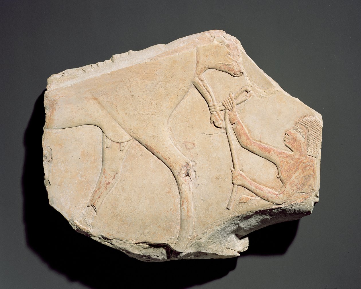 Fragmentti reliefistä, joka kuvaa vasikan syntymää, Asasif, Thebes, kolmas välikausi (n. 1069-664 eKr.) (kalkkikivi) tekijältä Egyptian