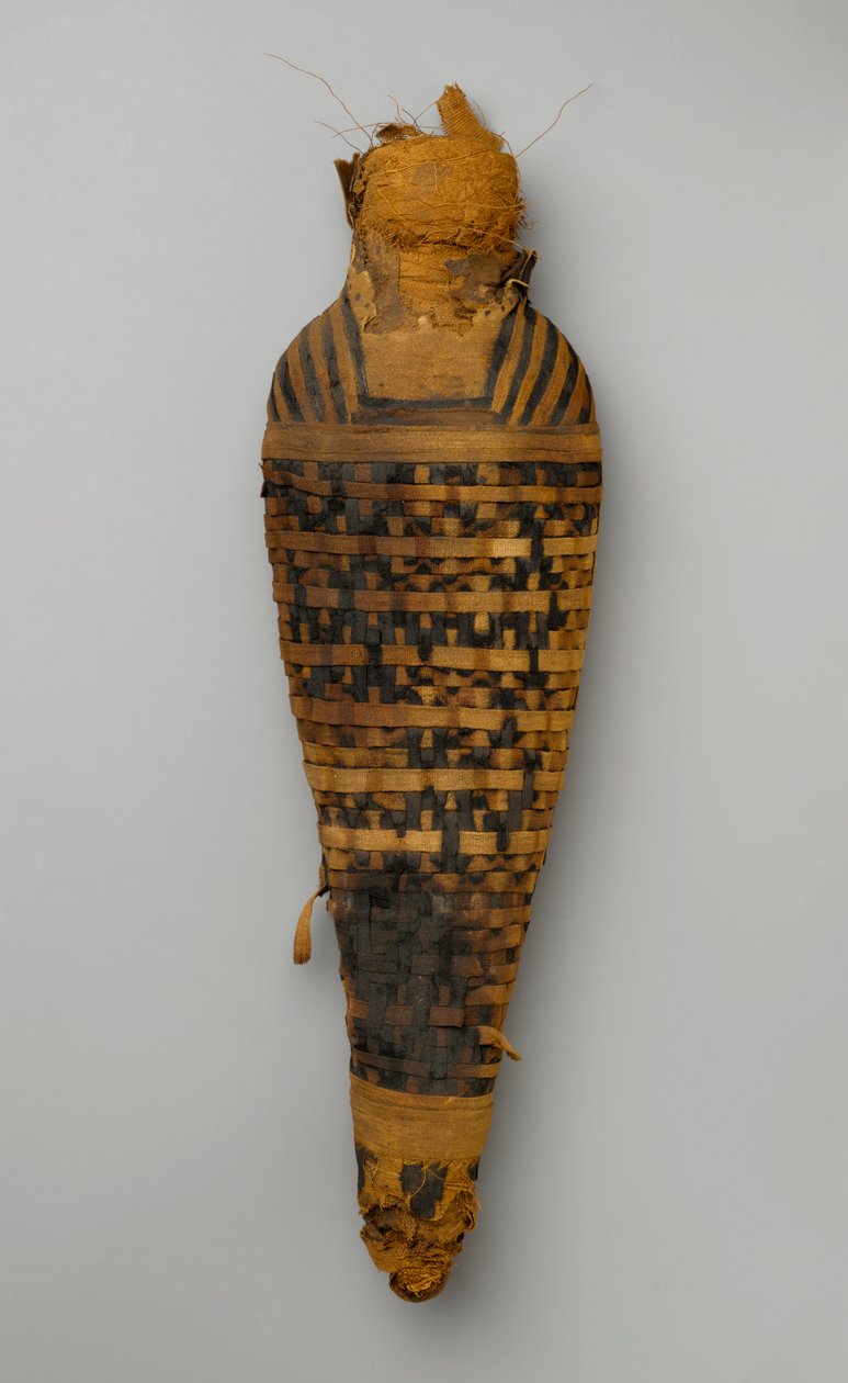 Haukan muumio (eläinjäännökset ja pellava) tekijältä Egyptian