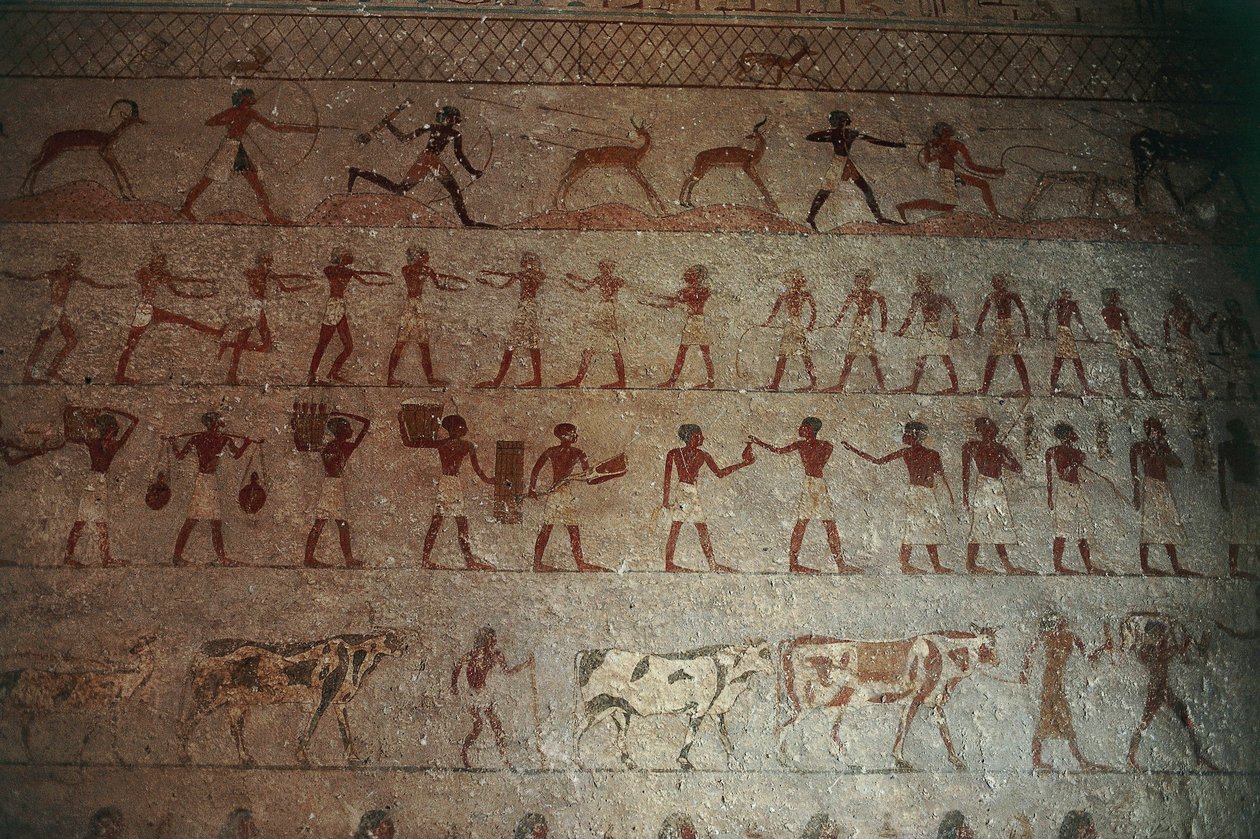 Beni-Hasanin hautausmaa. Amenemhatin hauta, yksityiskohta: metsästyskohtauksia ja maalaiselämää kuvaavia seinämaalauksia tekijältä Egyptian 12th Dynasty